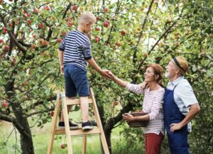 Bildschirm%C2%ADfoto%202023-12-12%20um%2015.01.30.jpg?W=900