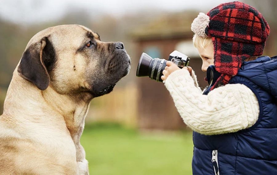 Bildschirm%C2%ADfoto%202024-05-29%20um%2017.37.54.jpg?W=900