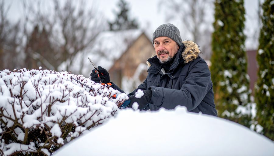 Firefly_Mann%20um%20die%2050%20mit%20Jacke%20und%20Hut%2C%20arbeitet%20im%20winterlichen%20Garten%20und%20schneidet%20gerad%20867101.jpg?W=900