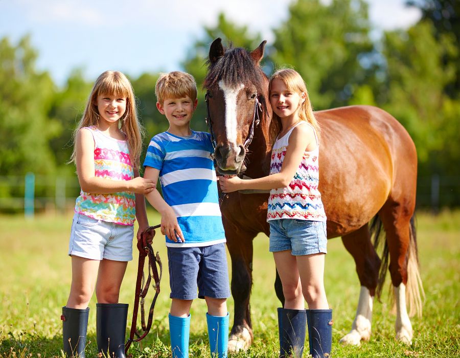 Firefly_Pferd.jpg?W=900